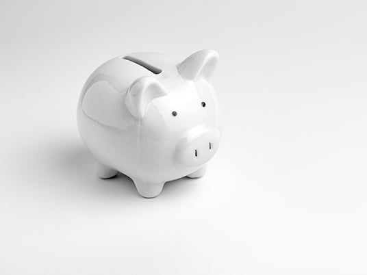 Finance, saving money, white piggy bank on seamless white background.