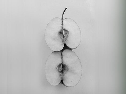 124036779_715615335721337_7830977839764013002_n